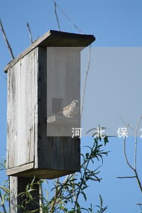 河北保定律师咨询电话 河北保定律师咨询电话