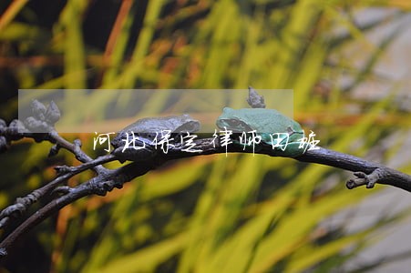河北保定律师田桩 河北保定律师田桩