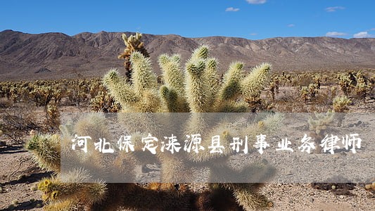 河北保定涞源县刑事业务律师 河北保定涞源县刑事业务律师