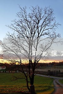 河北保定王林律师观点 河北保定王林律师观点