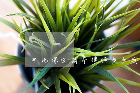 河北保定请个律师多少钱大概 河北保定请个律师多少钱大概