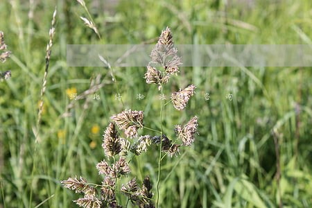 河北信淞法律咨询 河北信淞法律咨询