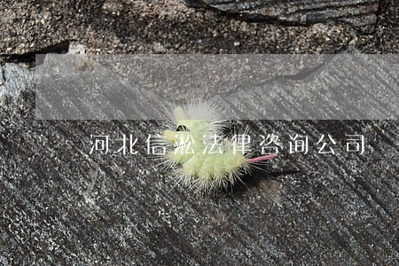河北信淞法律咨询公司 河北信淞法律咨询公司