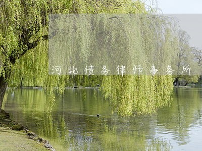 河北债务律师事务所 河北债务律师事务所