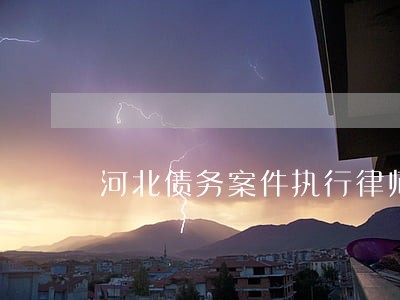 河北债务案件执行律师微信咨询