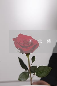 河北债务起诉律师费 河北债务起诉律师费
