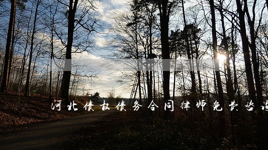 河北债权债务合同律师免费咨询 河北债权债务合同律师免费咨询