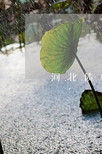 河北债权法律咨询公司