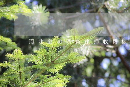 河北公司债务律师收费标准 河北公司债务律师收费标准