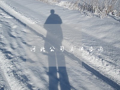河北公司法律咨询 河北公司法律咨询