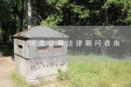 河北公司法律顾问咨询 河北公司法律顾问咨询