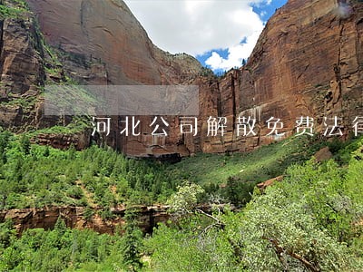 河北公司解散免费法律咨询热线 河北公司解散免费法律咨询热线