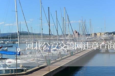 河北公安交管网违章查询 河北公安交管网违章查询