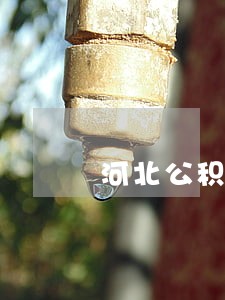 河北公积金逾期