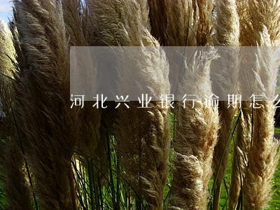 河北兴业银行逾期怎么协商 河北兴业银行逾期怎么协商