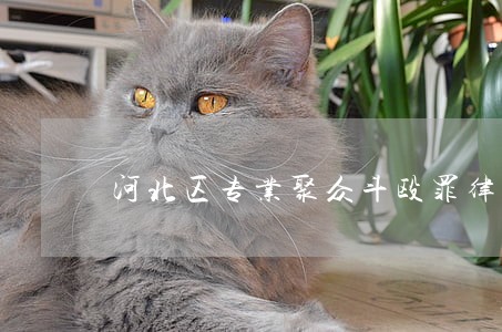 河北区专业聚众斗殴罪律师服务 河北区专业聚众斗殴罪律师服务