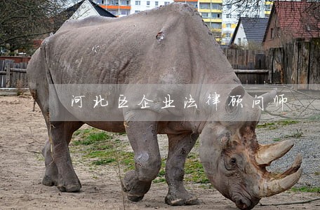 河北区企业法律顾问师 河北区企业法律顾问师