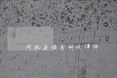 河北区债务纠纷律师 河北区债务纠纷律师