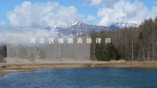 河北区婚姻离婚律师 河北区婚姻离婚律师