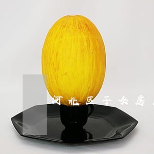 河北区子女房产纠纷律师 河北区子女房产纠纷律师