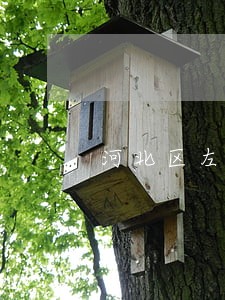 河北区左转弯交通事故怎么诉讼