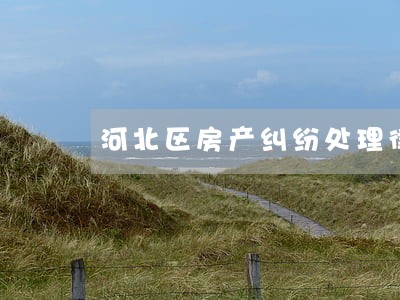 河北区房产纠纷处理律师 河北区房产纠纷处理律师