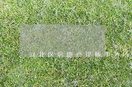 河北区房地产律师事务所 河北区房地产律师事务所