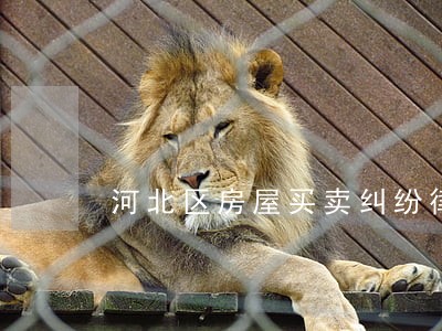 河北区房屋买卖纠纷律师 河北区房屋买卖纠纷律师