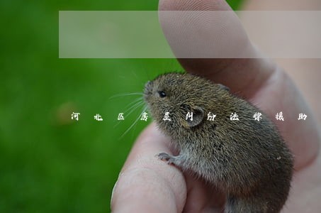 河北区房屋纠纷法律援助 河北区房屋纠纷法律援助