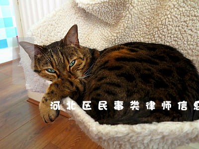 河北区民事类律师信息在线查询 河北区民事类律师信息在线查询