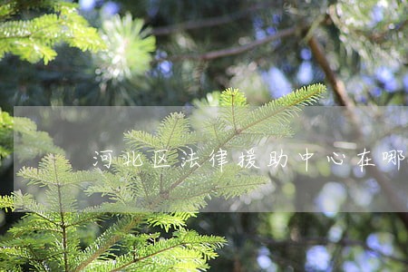 河北区法律援助中心在哪