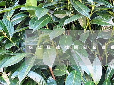 河北区法律顾问法律援助