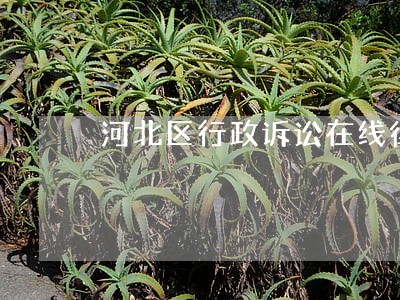 河北区行政诉讼在线律师 河北区行政诉讼在线律师