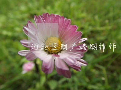 河北区财产婚姻律师 河北区财产婚姻律师