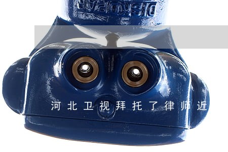 河北卫视拜托了律师近期直播 河北卫视拜托了律师近期直播