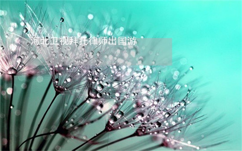 河北卫视拜托律师出国游 河北卫视拜托律师出国游