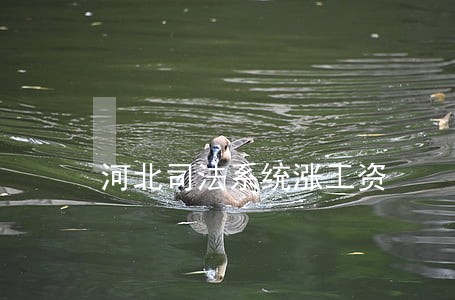 河北司法系统涨工资 河北司法系统涨工资