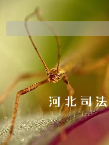 河北司法警务职业学院宿舍 河北司法警务职业学院宿舍