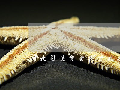 河北司法警官提前批次