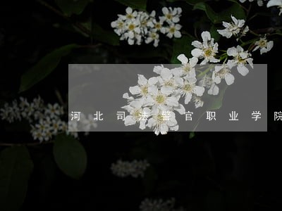 河北司法警官职业学院侦查系吗 河北司法警官职业学院侦查系吗