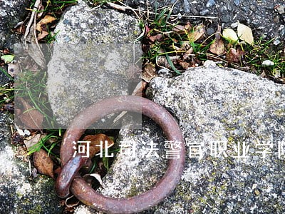 河北司法警官职业学院属于什么类 河北司法警官职业学院属于什么类