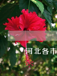 河北各市县区律师事务所名录 河北各市县区律师事务所名录