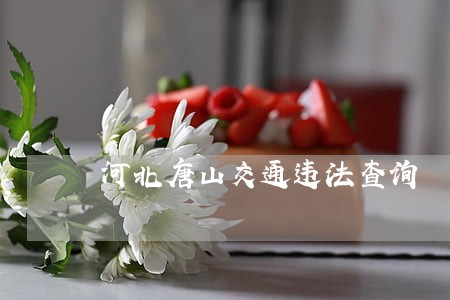 河北唐山交通违法查询 河北唐山交通违法查询