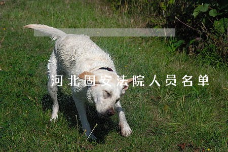 河北固安法院人员名单 河北固安法院人员名单