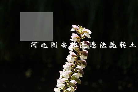 河北固安独流违法流转土地 河北固安独流违法流转土地