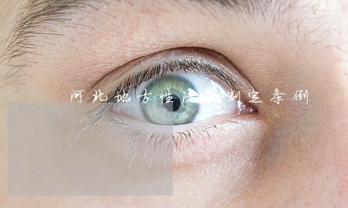 河北地方性法规制定条例
