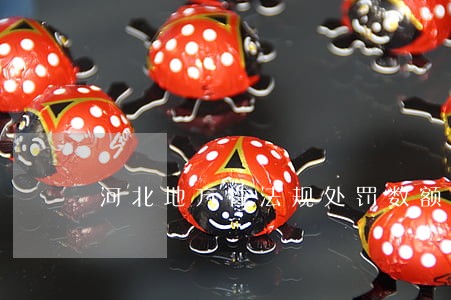 河北地方性法规处罚数额
