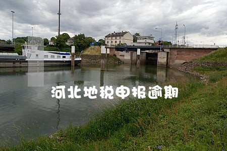 河北地税申报逾期