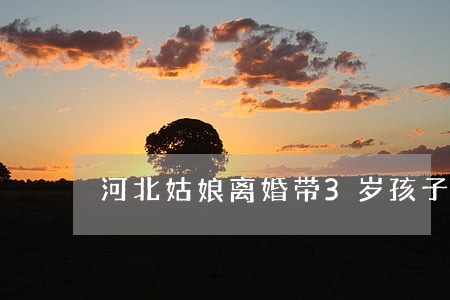 河北姑娘离婚带3岁孩子 河北姑娘离婚带3岁孩子
