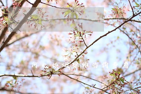 河北婚姻律师咨询费用 河北婚姻律师咨询费用